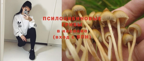 трава Киренск