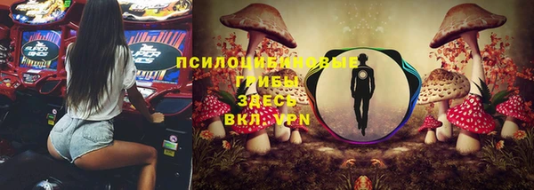 трава Киренск
