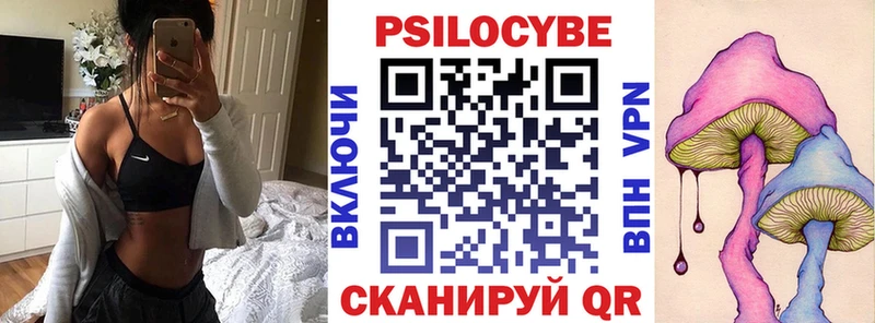 Купить закладки  Дрезна  Псилоцибиновые грибы мухоморы 